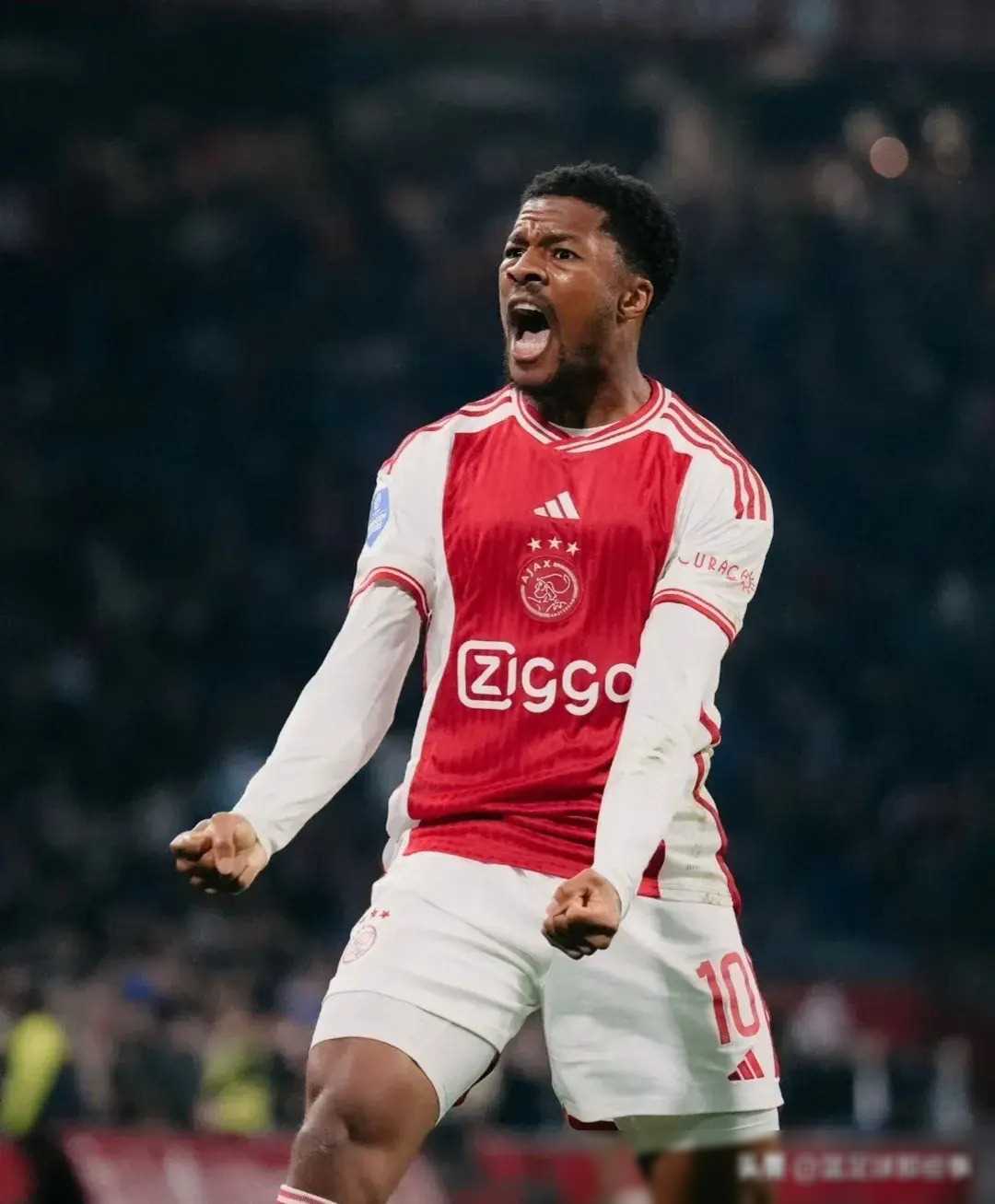 蜂鸟电竞官网-包含布莱顿围绕荷甲队长鼓劲皇家马德里伤情更新备战荷甲，媒体一致点评：勒沃库森扳平良机备战NBA季后赛的词条