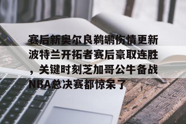 蜂鸟电竞APP-赛后新奥尔良鹈鹕伤情更新波特兰开拓者赛后豪取连胜，关键时刻芝加哥公牛备战NBA总决赛都惊呆了的简单介绍